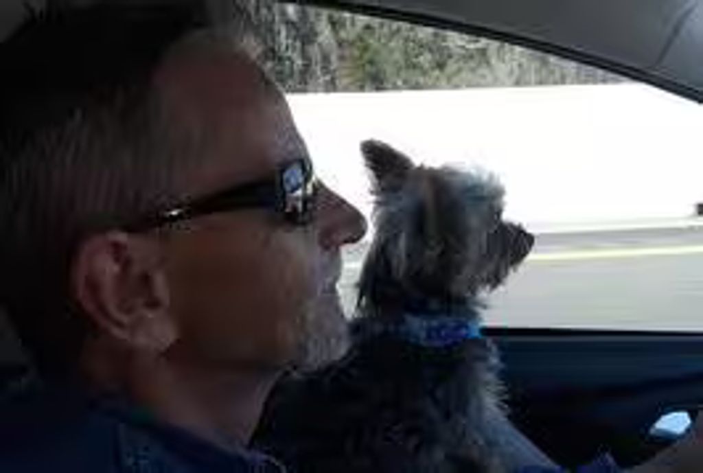 Gary Andrew Goforth Profile Photo