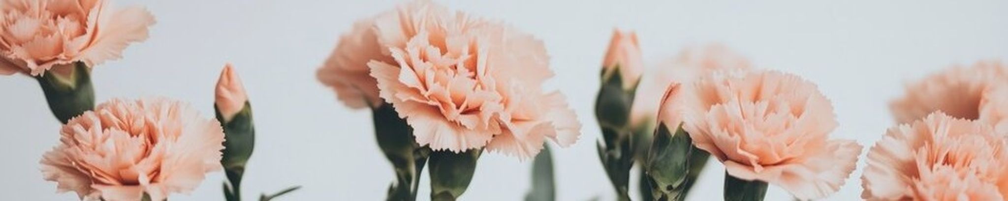 Cover for Peggy C. Brown's Obituary