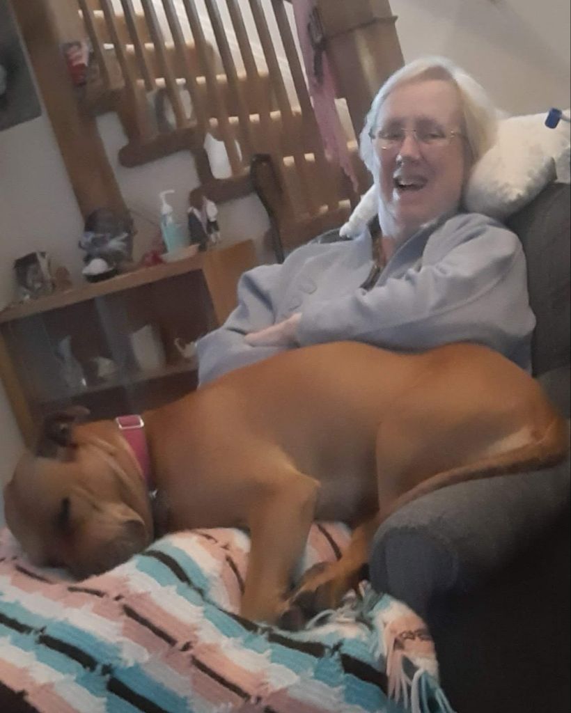 Carleen J. Ronchetti Profile Photo