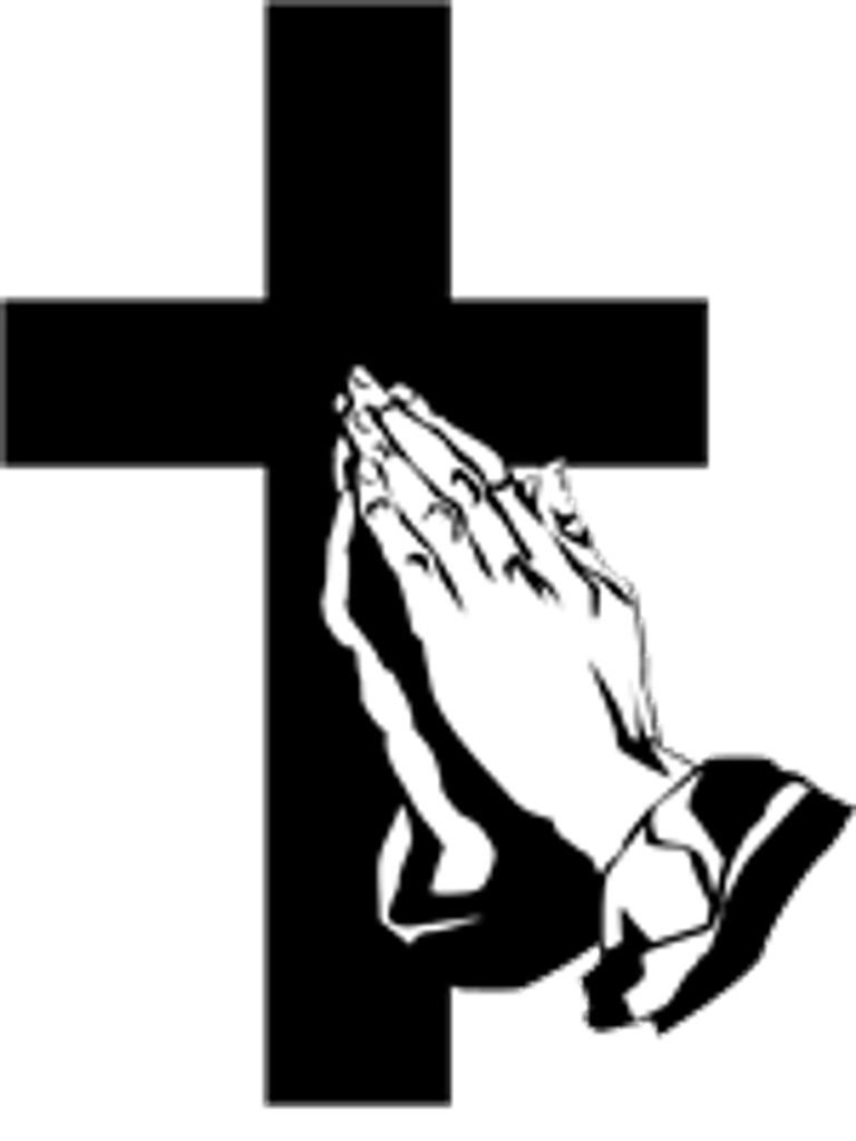 Julia Pitel Profile Photo