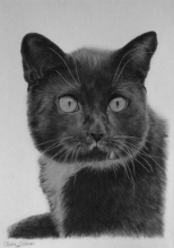 Prudent Miller Profile Photo