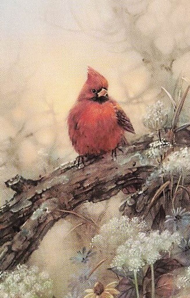 Donna K. Cliffe Profile Photo