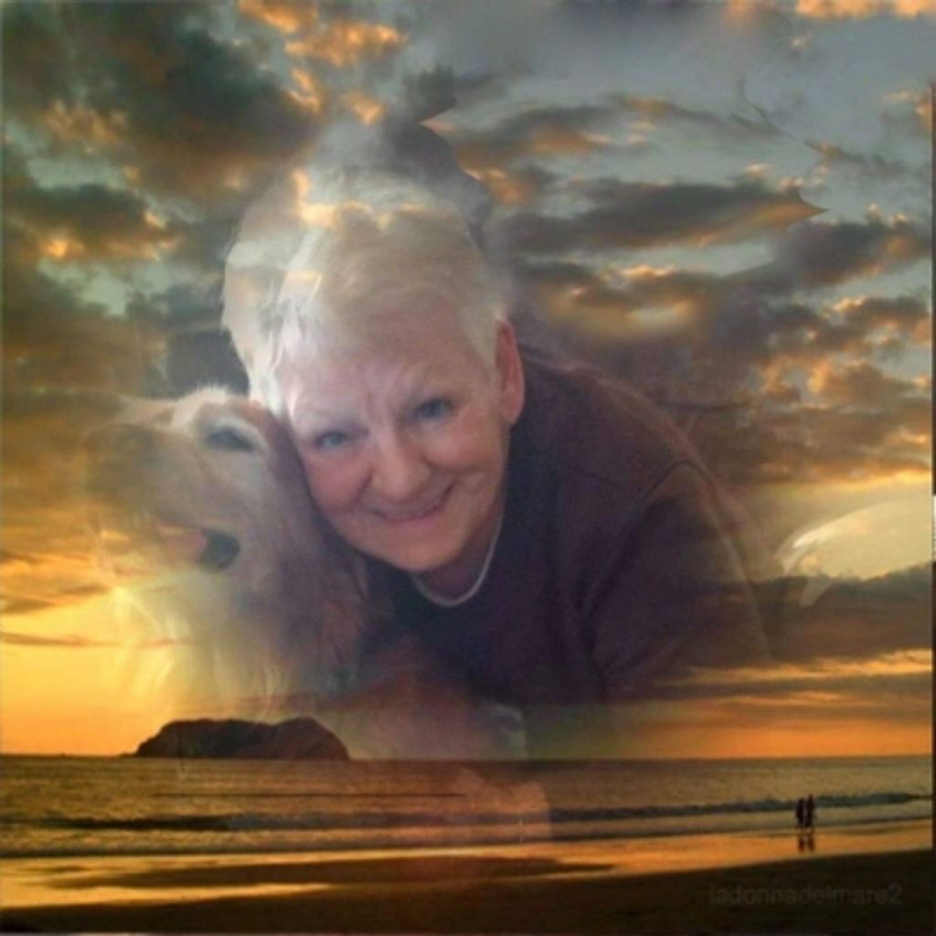 Pauline E. Tripp Profile Photo
