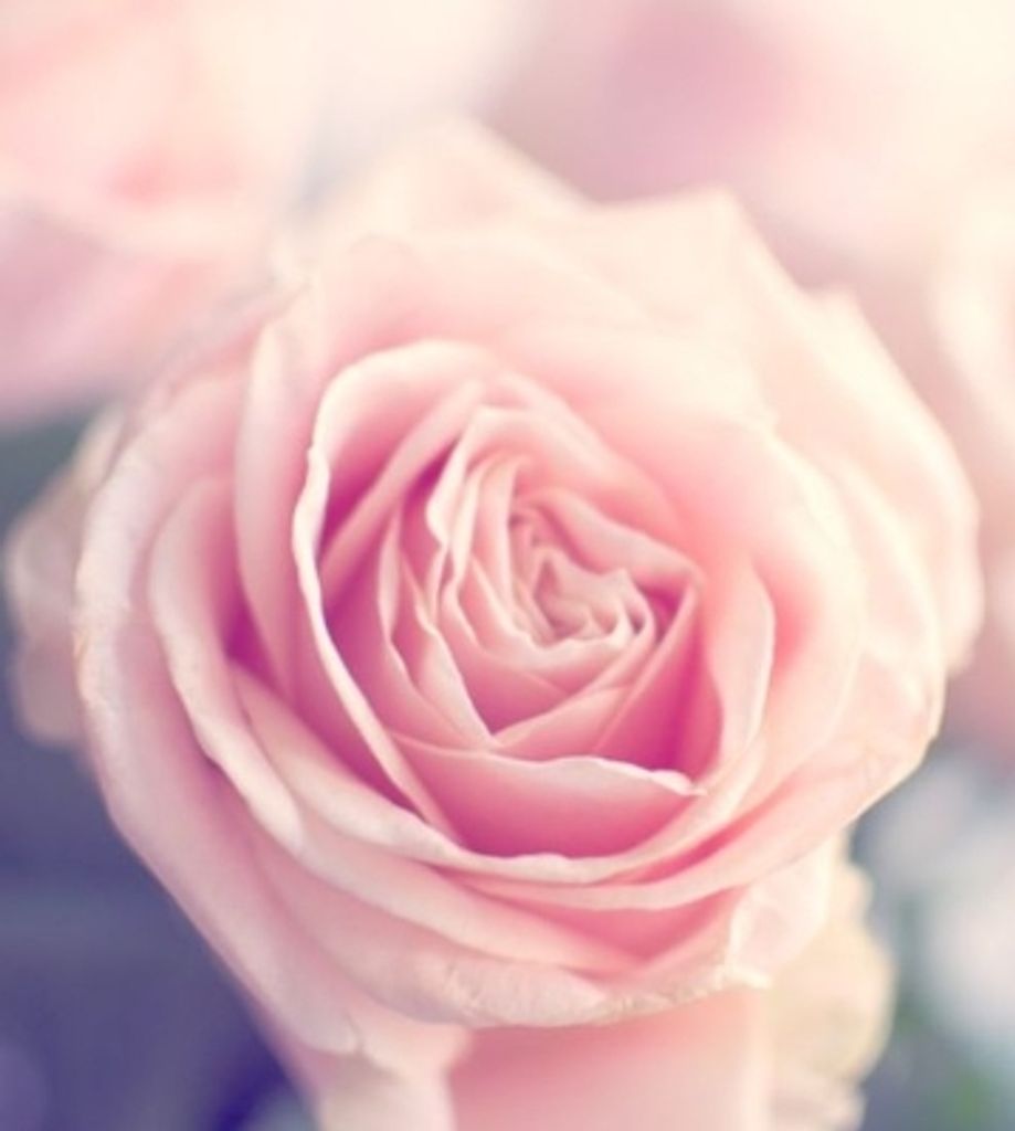 Kamila Diaz Profile Photo