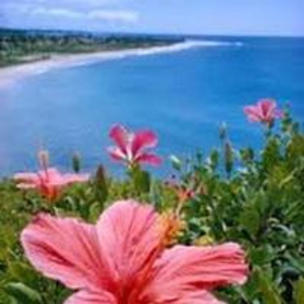Dorothy P. Mote