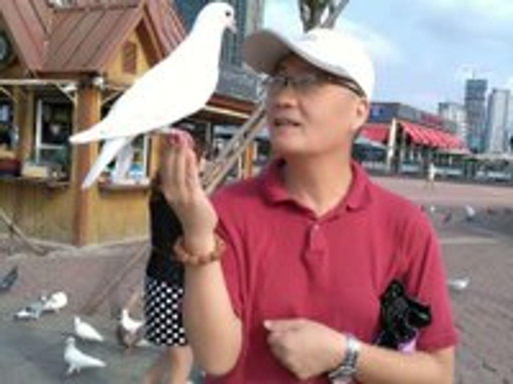 Baotong Li