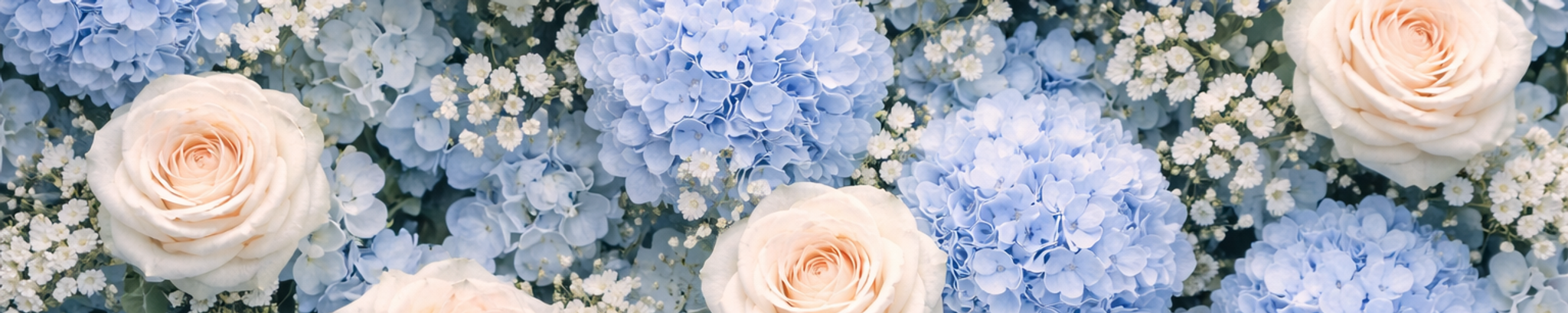 Cover for Vanessa Means's Obituary