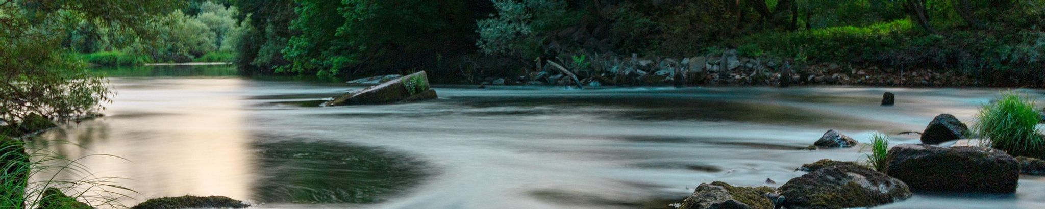 Cover for Matthew Frank Cardillo's Obituary