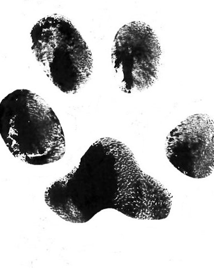 Roxy Roseman Profile Photo