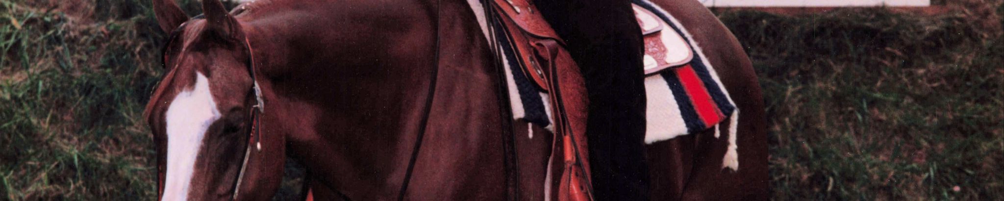 Cover photo for Burlon "Dobber" Dyer's Obituary