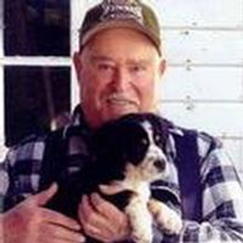 Dale Williams
