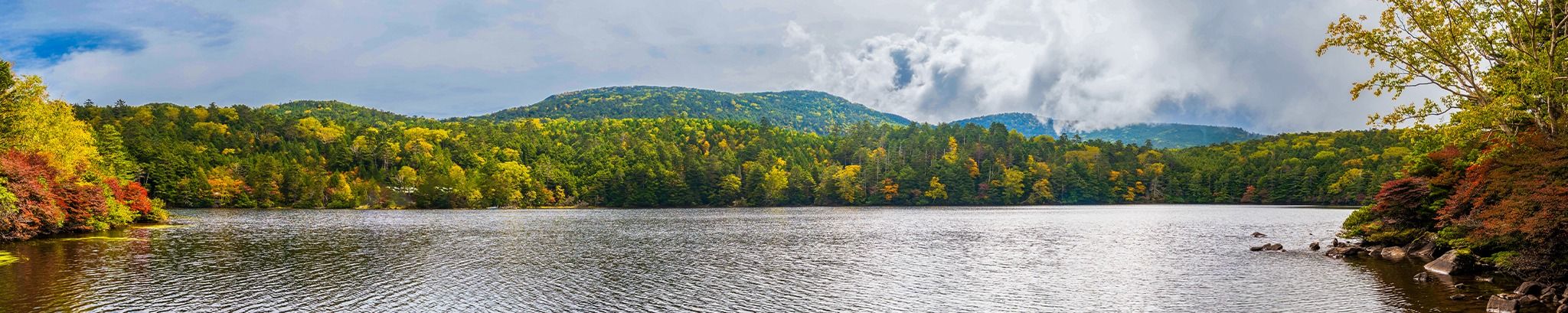 Cover for Vincent T. Nastasi's Obituary