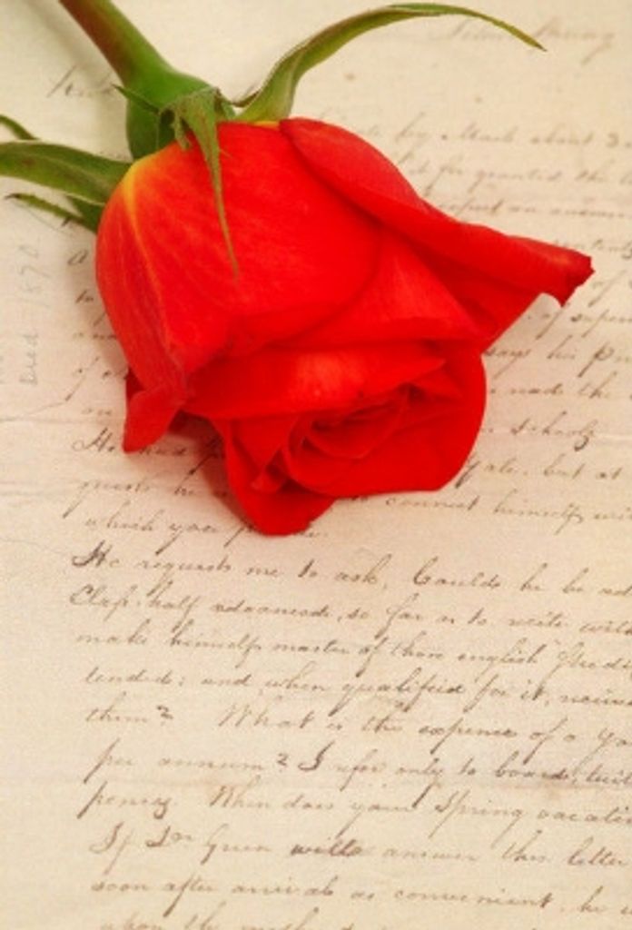 Frances Dorothy Guzek Barry