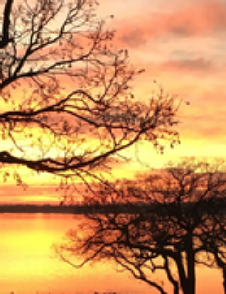 Floyd Pauley Profile Photo