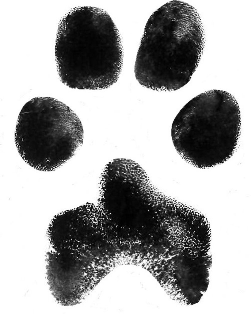 Walice Hartsell Profile Photo