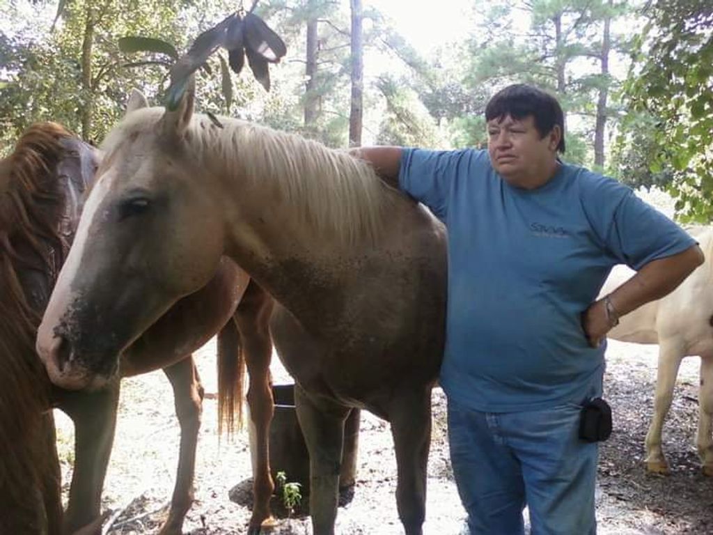 Corienne Elaine (Cobb)  Tison