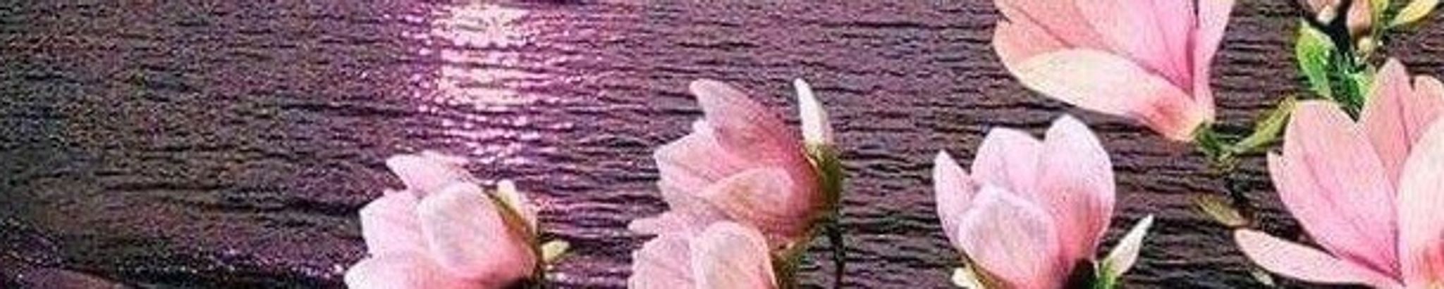 Cover photo for Meredith Elise Lowe's Obituary