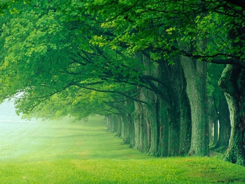 Ethan Bradley Phillips