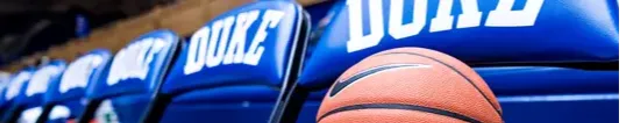 Cover for Diane Wolf's Obituary