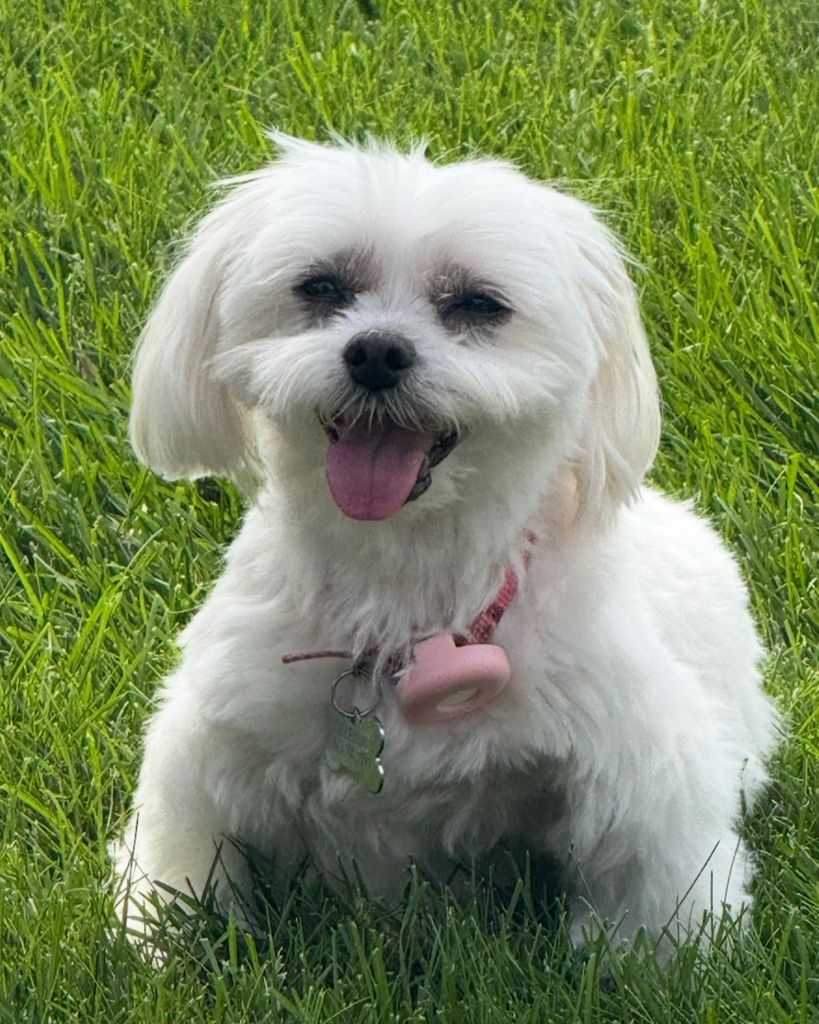 Zoey Endres Profile Photo