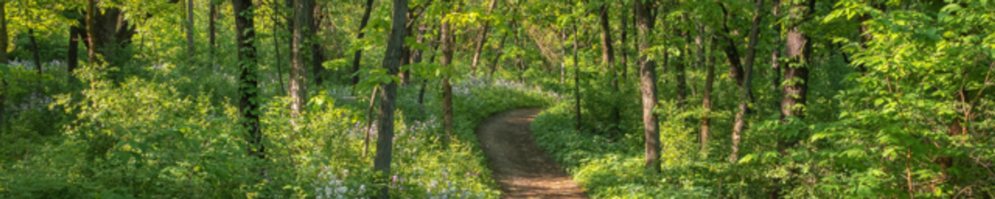 Cover for Darce Pirtle's Obituary