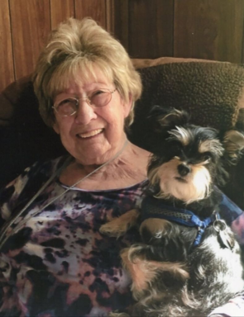 Carolyn J. Harrold Profile Photo