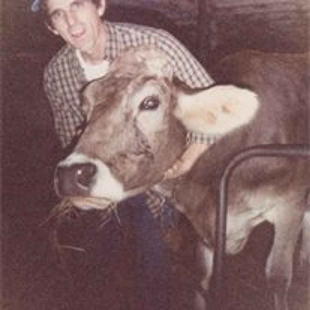 Frank D Shaddon