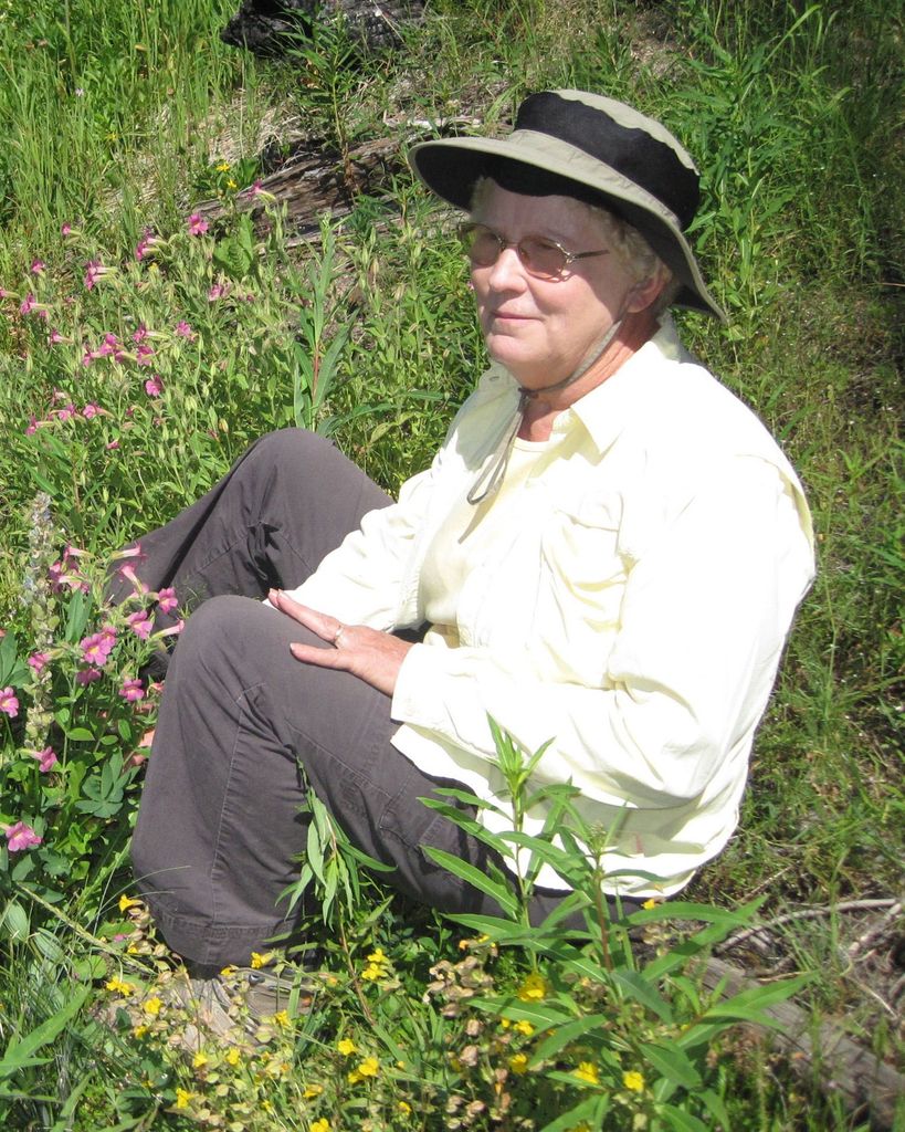 Dianne Carol Huhtanen