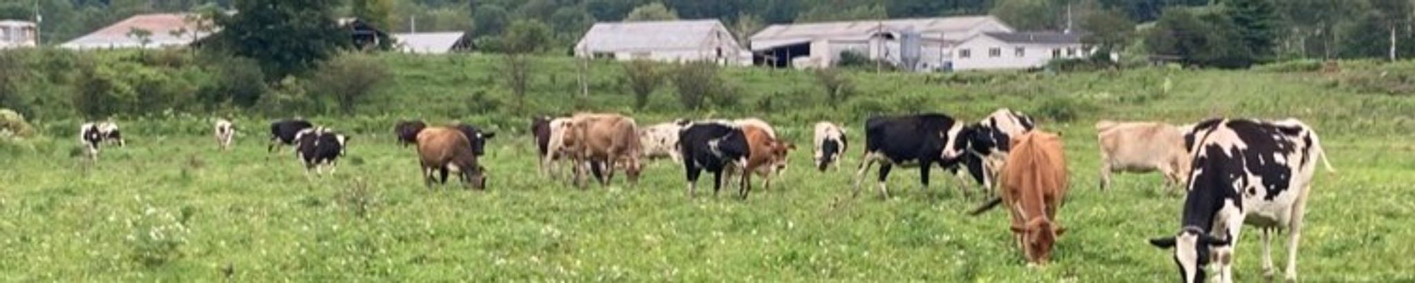 Cover for Aaron W Buchanan's Obituary