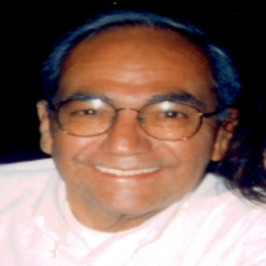Michael J. Vendituoli