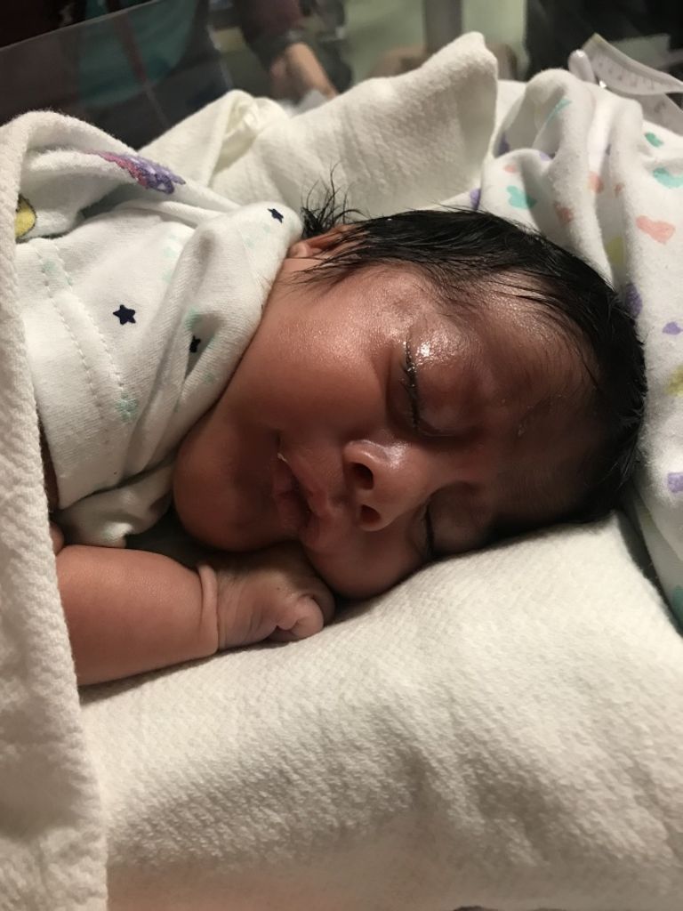 Nicolas Alexander Obregon