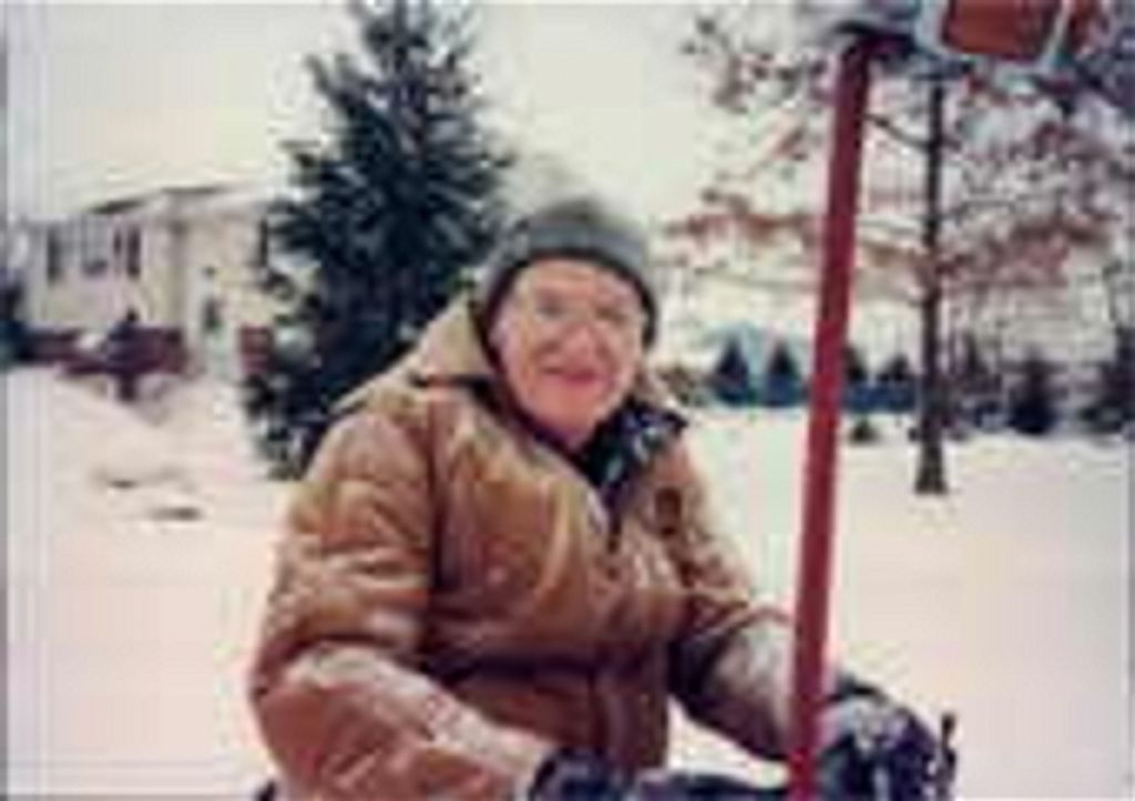 Donald Robert Lammers