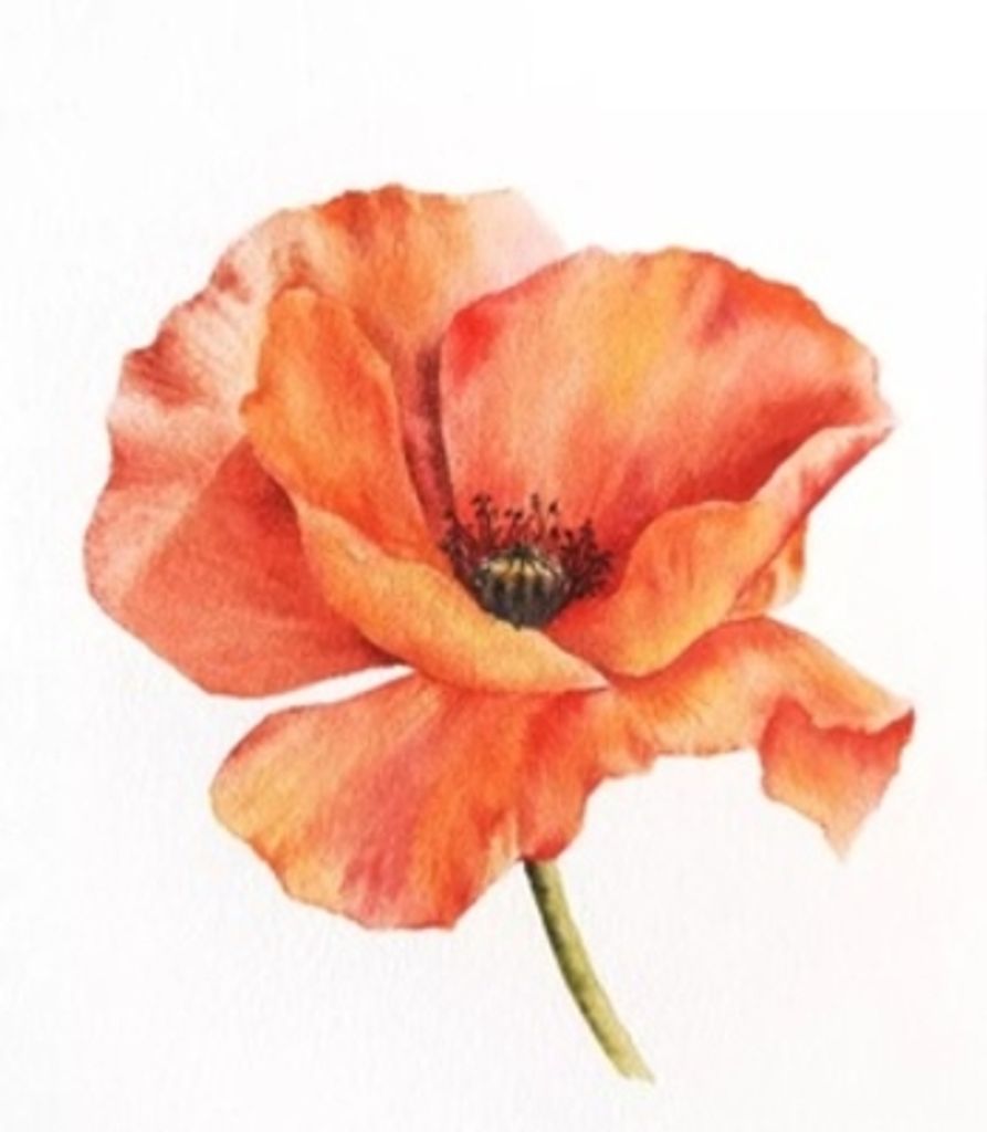 Roseanne M. Stillo