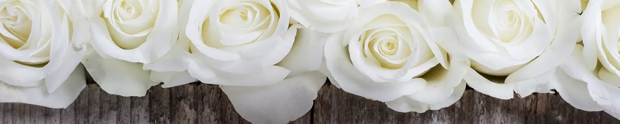 Cover photo for Helen Ford's Obituary