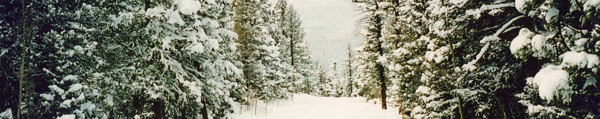 Cover for Edward Eugene Frieze's Obituary