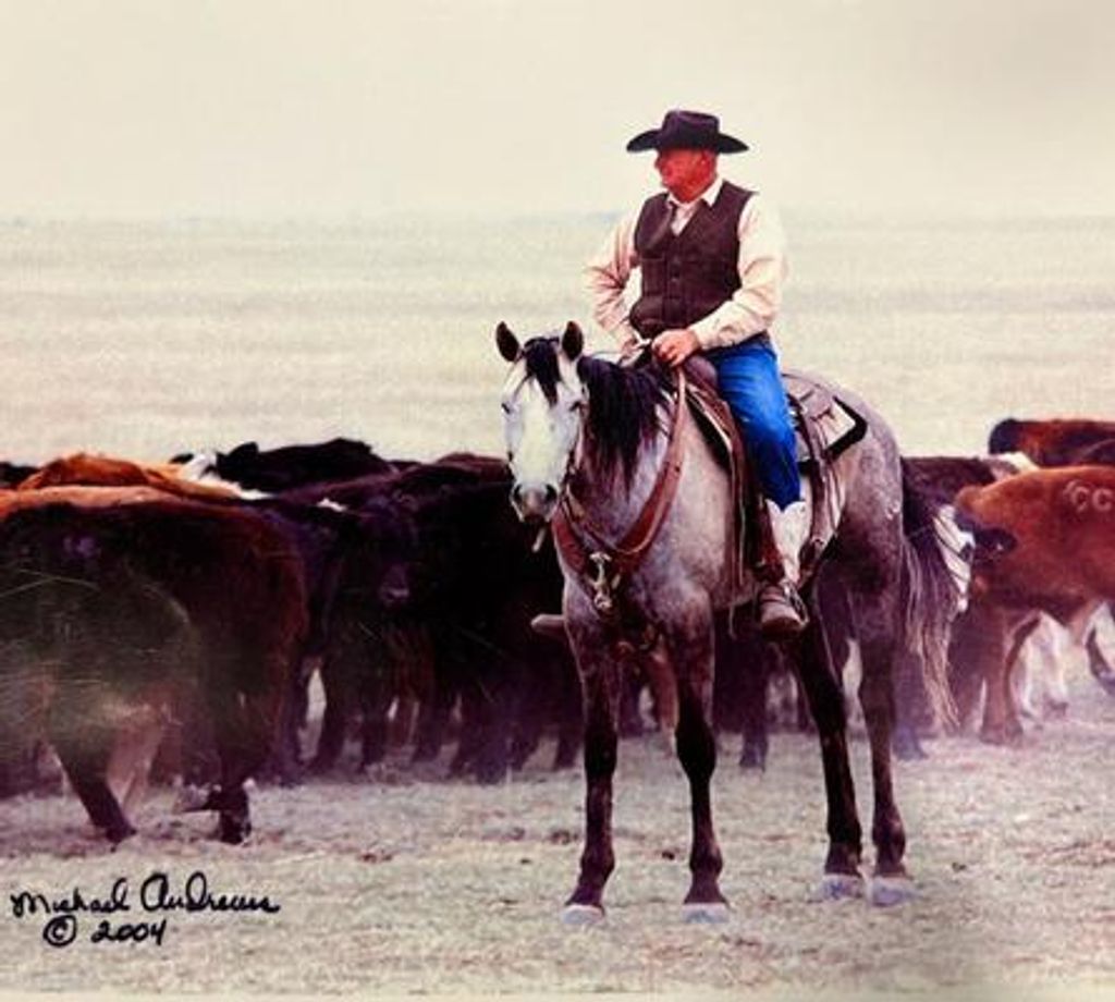 Doyle C Price Profile Photo