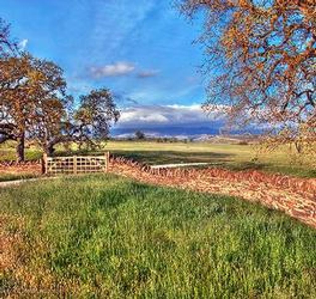 Lawrence "Larry" Balaam