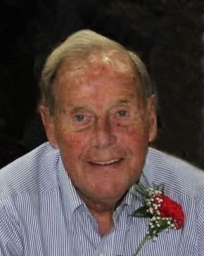 Donald A. Dahl's obituary image