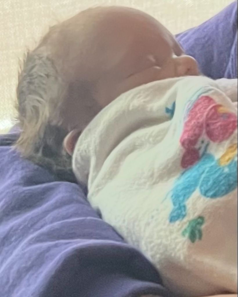 Kace Brian Johnston Profile Photo