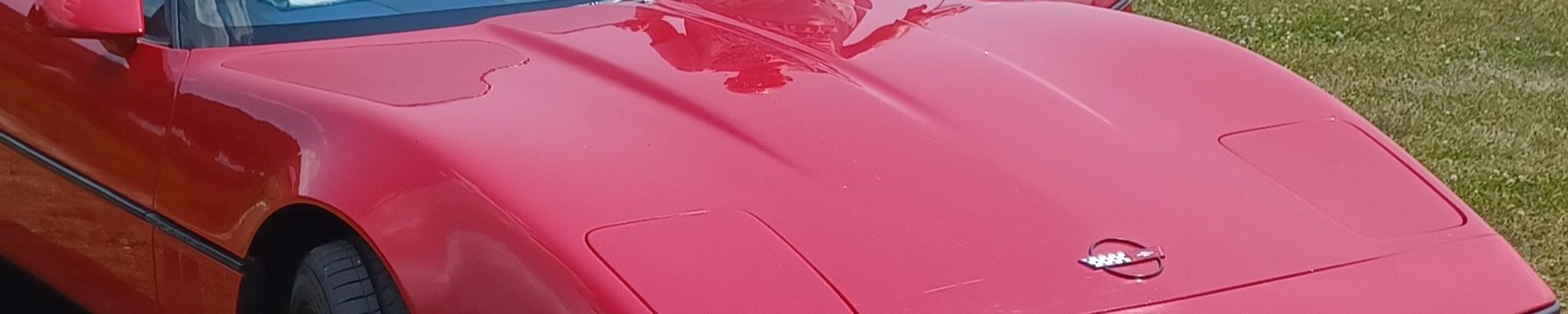 Cover for Ray Nelson's Obituary