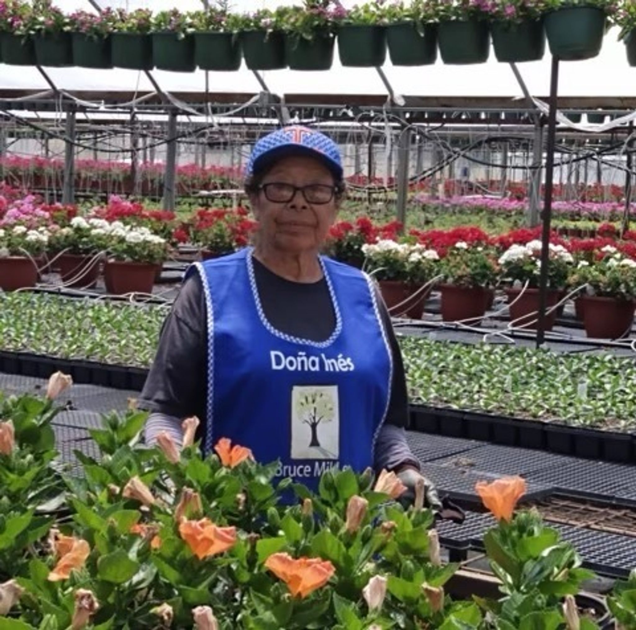 Ines Garcia Olarte Obituary June 11, 2024 - Bartley Funeral Home, image size:2048x2031