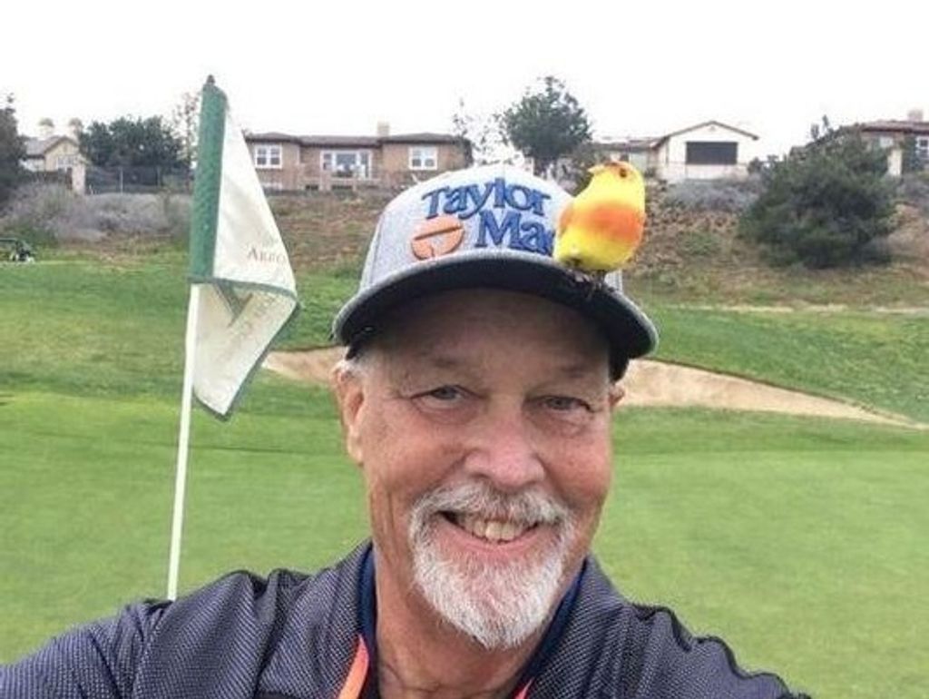 Peter Bennett Cooper Profile Photo