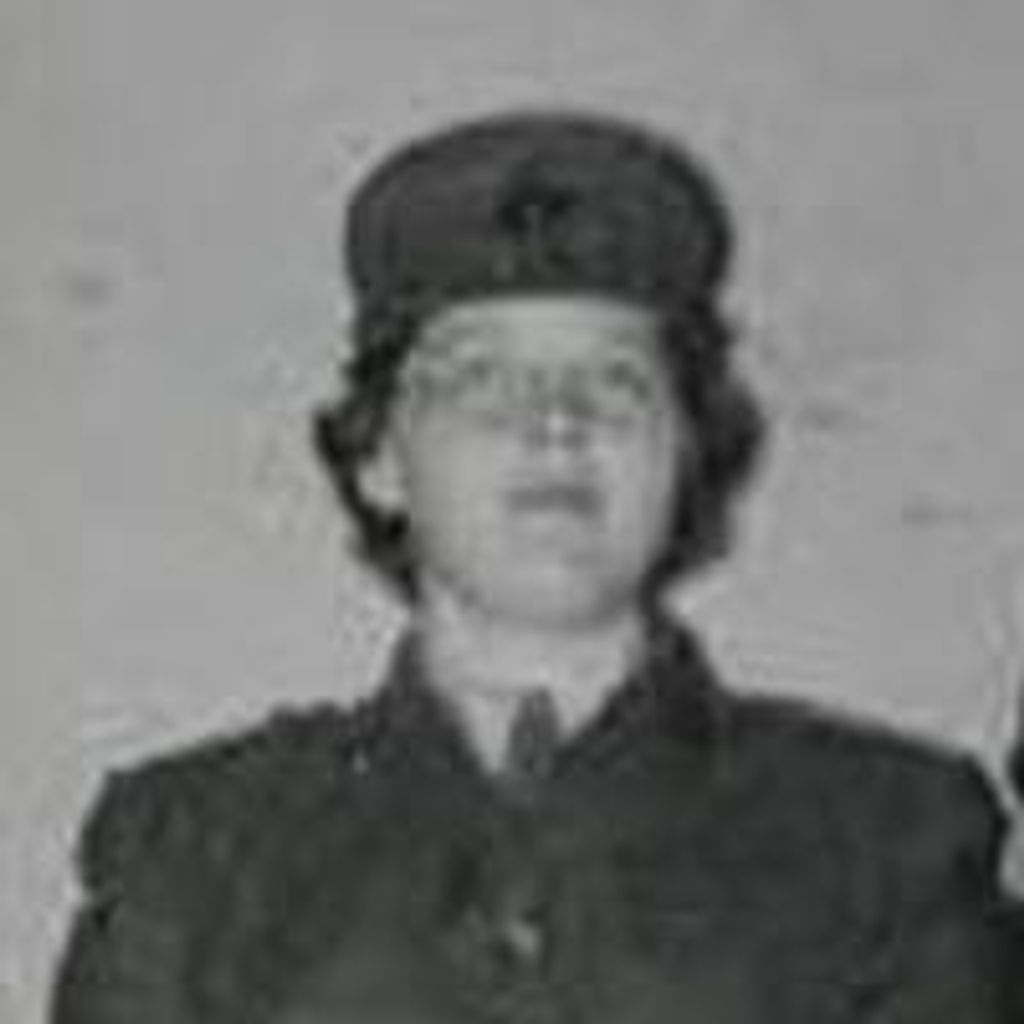 Diane  Louise Hergenroder