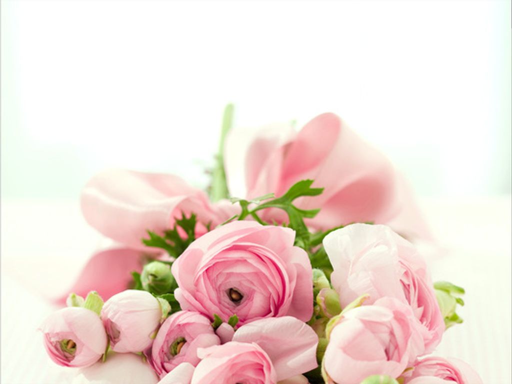 Marjorie Joe Tennyson Profile Photo