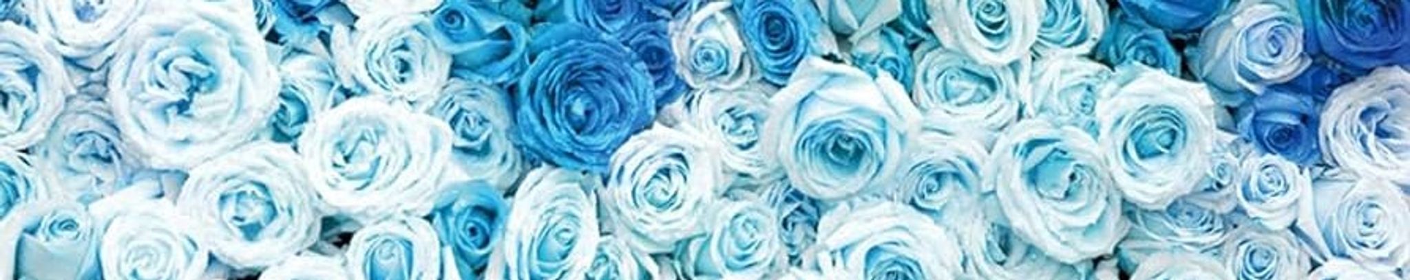 Cover photo for Velma Wooten's Obituary