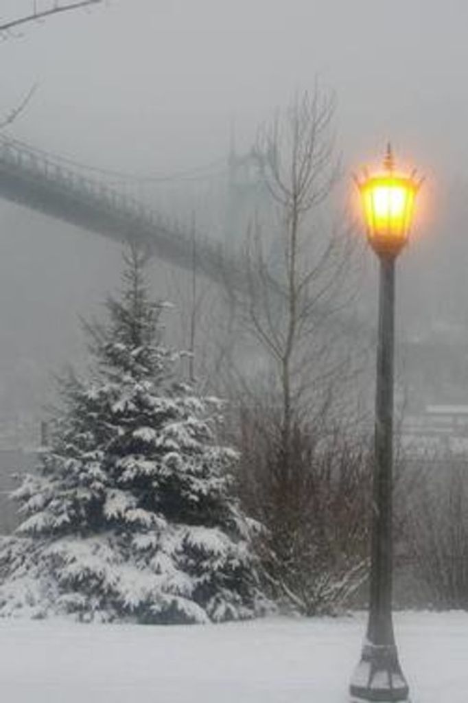 Michael Lynn Freeman