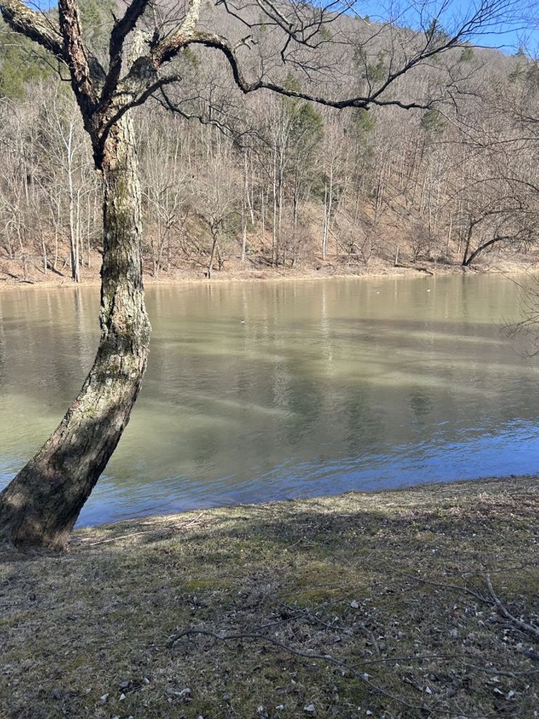 Judith L. "Judy" (Soulerin)  Koch