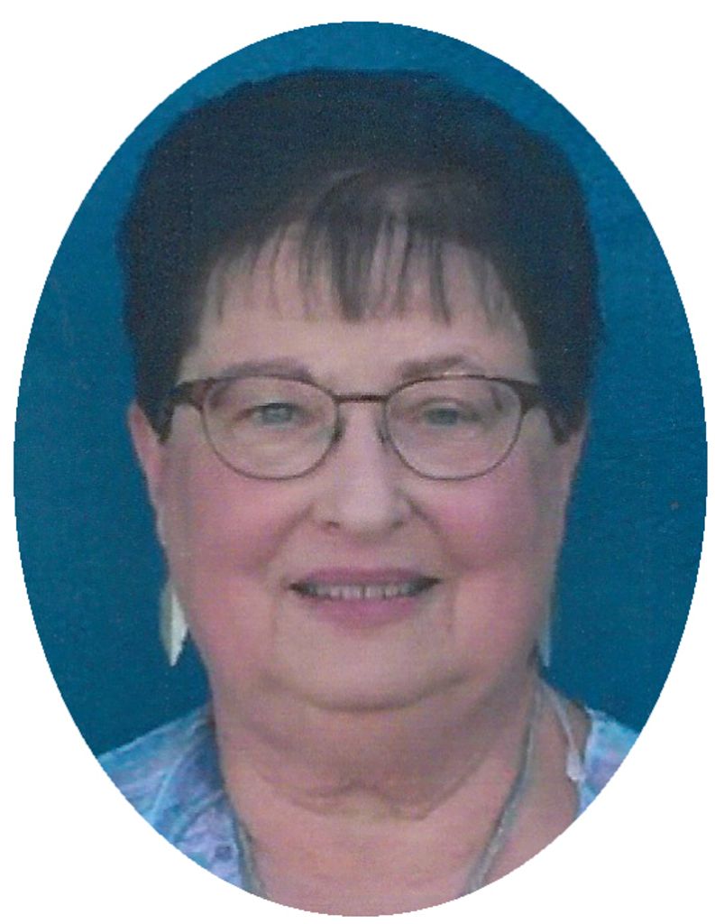 Cheryl Sue (Harrington)  Wright