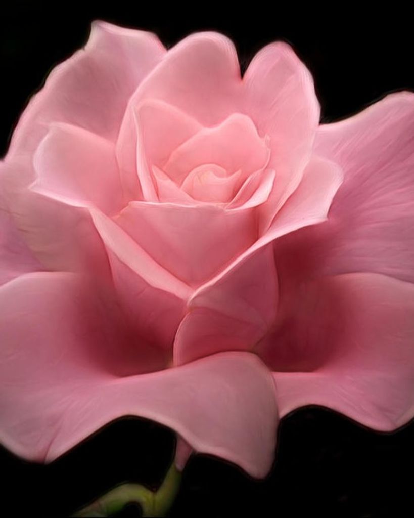 Anne Ritchie