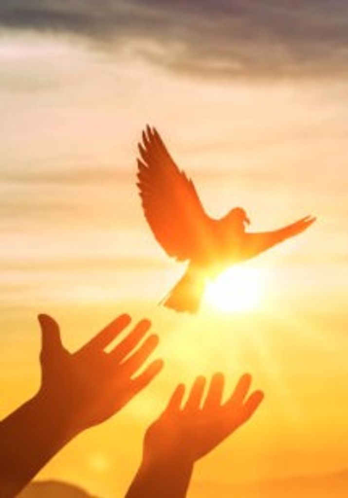 David D. "Dave"   Wood, Sr.